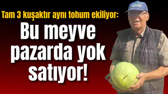 Tam 3 kuşaktır aynı tohum ekiliyor: Bu meyve pazarda yok satıyor!