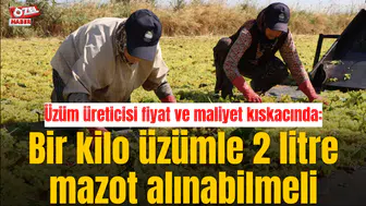 Üzüm üreticisi fiyat ve maliyet kıskacında: Bir kilo üzümle 2 litre mazot alınabilmeli
