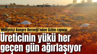 Milliyetçi Kongre Derneği’nden üzüm raporu: Üreticinin yükü her geçen gün ağırlaşıyor