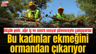 Düşük gelir, ağır iş ve sınırlı sosyal güvenceyle çalışıyorlar: Bu kadınlar ekmeğini ormandan çıkarıyor