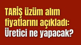 TARİŞ kuru üzüm alım fiyatlarını açıkladı