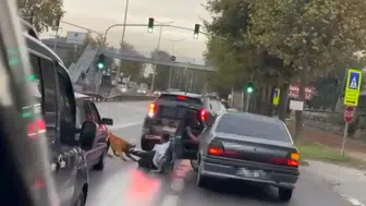 Trafikte korku dolu anlar: Köpek adamı bacağından ısırdı