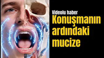 Konuşmanın ardındaki mucize: Bir kelimeyi söylemek için birçok organımız birlikte çalışıyor