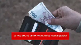 65 yaş, dul ve yetim aylıkları ne kadar olacak