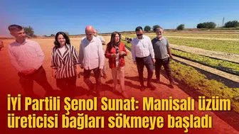 İYİ Partili Şenol Sunat: Manisalı üzüm üreticisi bağları sökmeye başladı