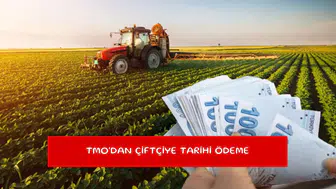 TMO'dan çiftçiye tarihi ödeme