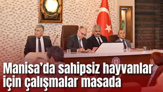 Manisa’da sahipsiz hayvanlar için çalışmalar masada