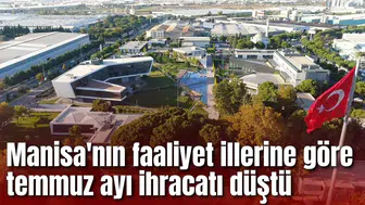 Manisa'nın faaliyet illerine göre temmuz ayı ihracatı düştü