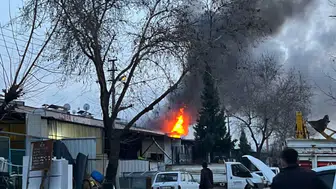 Manisa'da çıkan yangın korkuttu