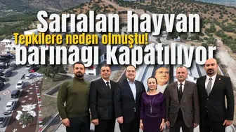 Sarıalan hayvan barınağı kapatılıyor