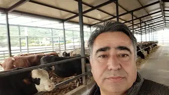 Ziraat mühendisi Özkaya: Buzağılara sahip çıkarsak ithal besiciliğe ihtiyaç olmaz