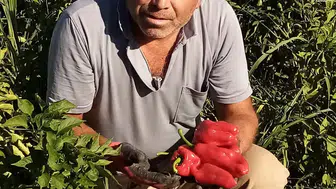 Asansör faciası: Boşluğa düşen servis şoförü hayatını kaybetti