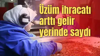 Üzüm ihracatı arttı gelir yerinde saydı