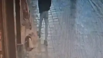 Uyuyan köpek, kendisine tekme atan adamı ısırdı