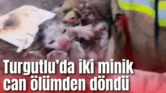 Turgutlu’da iki minik can ölümden döndü