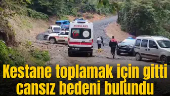 Kestane toplamak için gitti cansız bedeni bulundu