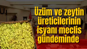 Üzüm ve zeytin üreticilerinin isyanı meclis gündeminde