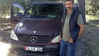 Zeytin hasadına gitti arı sokması hayatına mal oldu