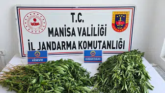 Manisa’da uyuşturucuya darbe: Kenevir ve binlerce hap ele geçirildi