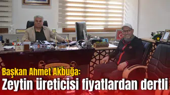 Başkan Ahmet Akbuğa: Zeytin üreticisi fiyatlardan dertli
