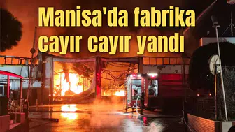 Manisa'da fabrika cayır cayır yandı
