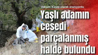 Vahşet: Yaşlı adamın cesedi parçalanmış halde bulundu