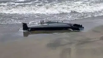 Ordu'da denizden çıkan herkesi şok etti