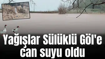 Yağışlar Sülüklü Göl'e can suyu oldu