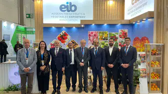 Yaş meyve sebze ihracatında hedef 4 milyar doları geçmek