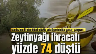 Manisa’nın üretim lideri olduğu sektörde tehlike çanları çalışıyor: Zeytinyağı ihracatı yüzde 74 düştü