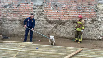 İnşaat çukuruna düşmüştü, itfaiye kurtardı