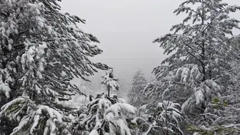 Mart bitmeden Demirci'ye kar sürprizi