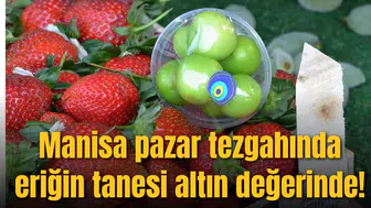 Manisa pazar tezgahında eriğin tanesi altın değerinde!