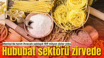 Manisa’da tarım ihracatı yaklaşık 159 milyon dolar oldu