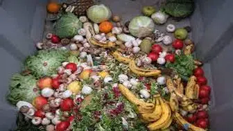 YILLIK YAKLAŞIK 1,3 MİLYAR TON GIDA İSRAF EDİLİYOR