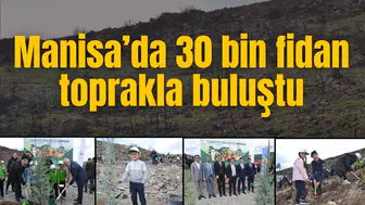 MANİSA’DA 30 BİN FİDAN TOPRAKLA BULUŞTU