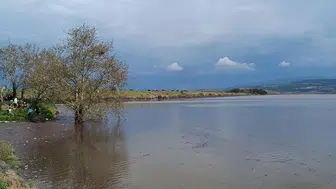Yağışlar sonrası Manisalı çiftçinin yüzü güldü