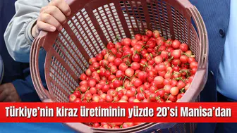 Türkiye’nin kiraz üretiminin yüzde 20’si Manisa’dan