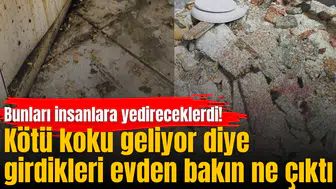 Kötü koku geliyor diye girdikleri evden bakın ne çıktı