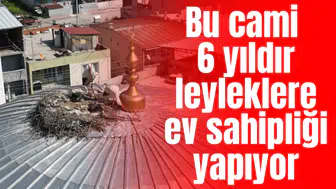 Bu cami 6 yıldır leyleklere ev sahipliği yapıyor