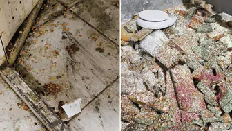 Kötü koku geliyor diye girdikleri evden bakın ne çıktı