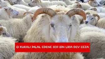 Resmi Gazete'de yayımlandı: O kuralı ihlal edene 839 bin lira dev ceza