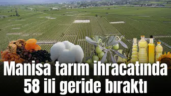 Manisa tarım ihracatında 58 illi geride bıraktı