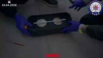 Müzik kutusundan çıkanlar şok etti