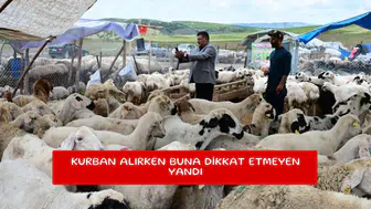 Kurban alırken buna dikkat etmeyen yandı