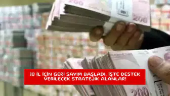 18 il için geri sayım başladı, işte destek verilecek stratejik alanlar!
