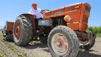Manisa Saruhanlı Belediye Başkanı Ekrem Cıllı üzüm hasadında elini makineye kaptırdı