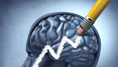 Zihni fark etmeden yoran besinler açıklandı: Aşırı tüketimde odak ve hafıza etkilenebiliyor