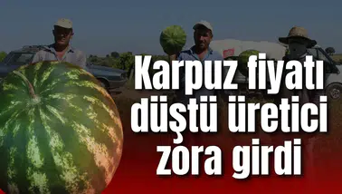 KARPUZ FİYATI DÜŞTÜ ÜRETİCİ ZORA GİRDİ