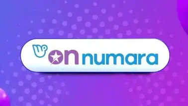 11 Eylül On Numara Sonuçları Açıklandı! 73. Çekilişin Kazanan 22 Numarası Belli Oldu